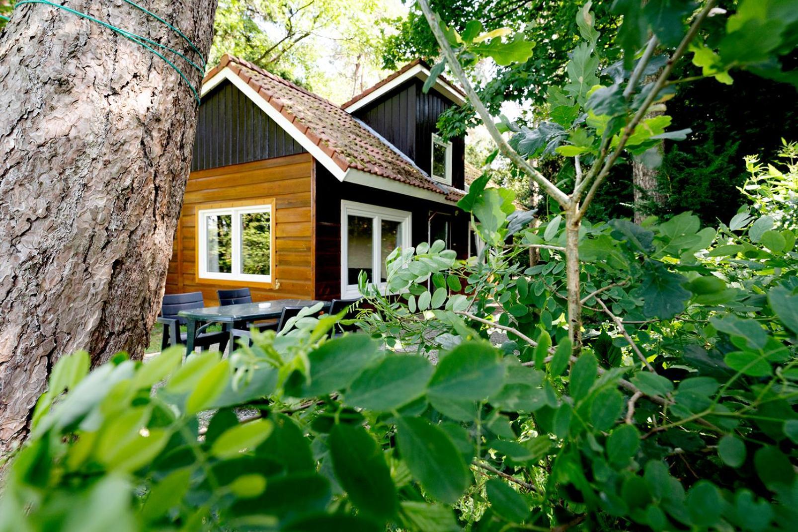 Villa 'T Eekhoornnest Soest Esterno foto